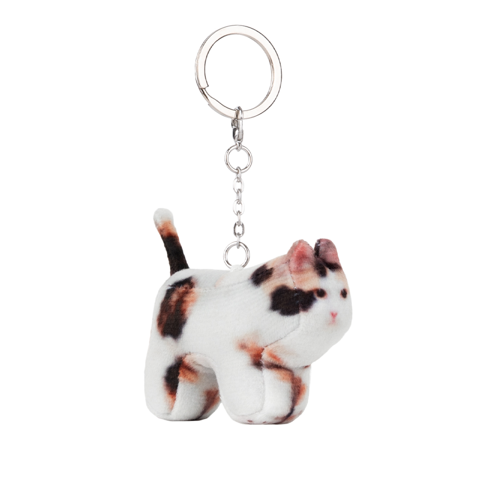 Jigoo, Domestic Shorthair - soft thumbnail