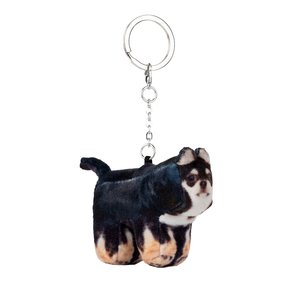 【SOFT THUMBNAIL】 Pippin, Chihuahua Pippin, Chihuahua - soft thumbnail