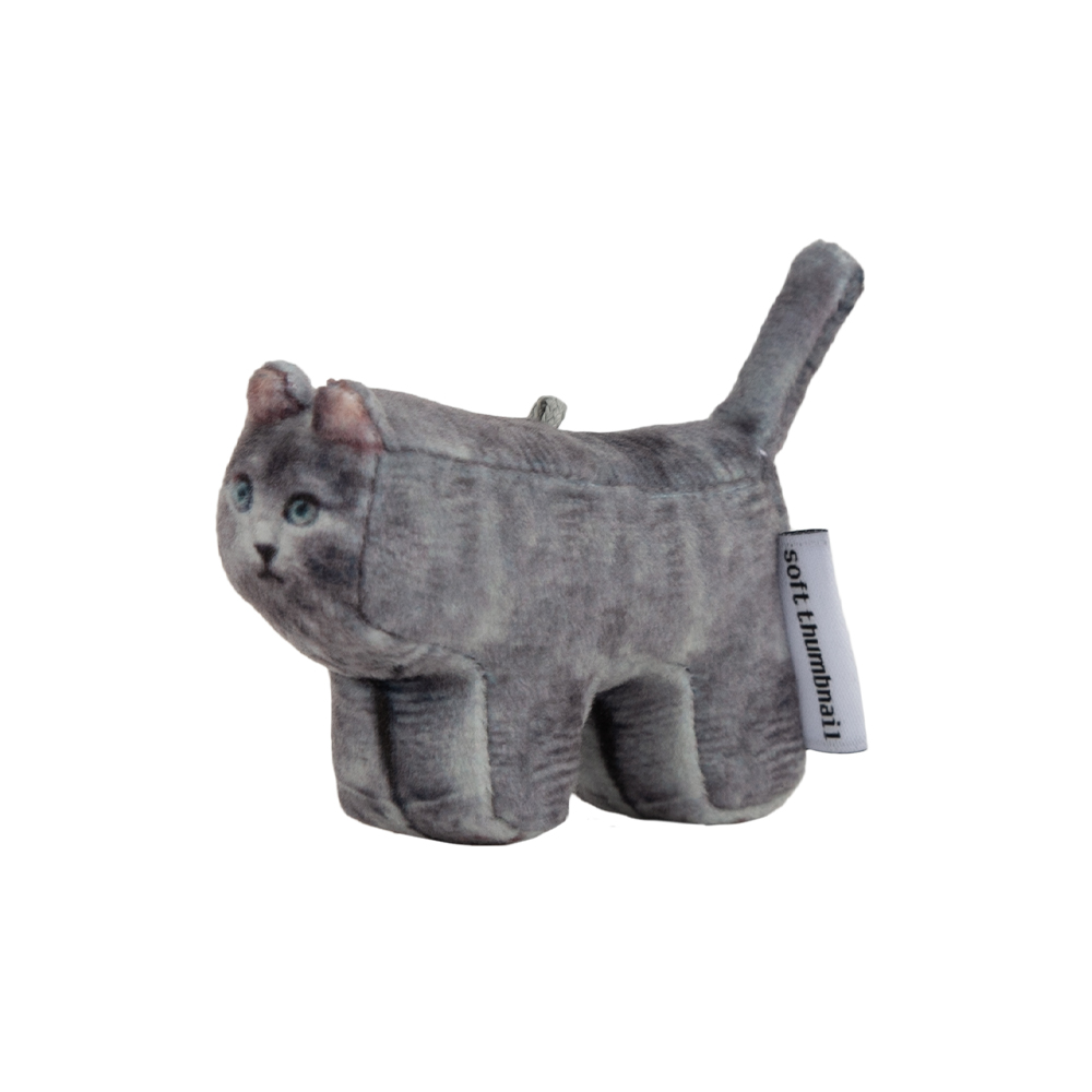 【SOFT THUMBNAIL】 Jiji, Russian Blue Jiji, Russian Blue - soft thumbnail