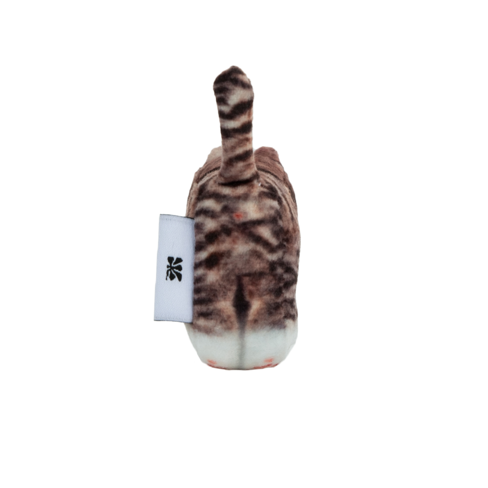 【SOFT THUMBNAIL】 Mumu, Domestic Shorthair Chovy, Domestic Shorthair - soft thumbnail
