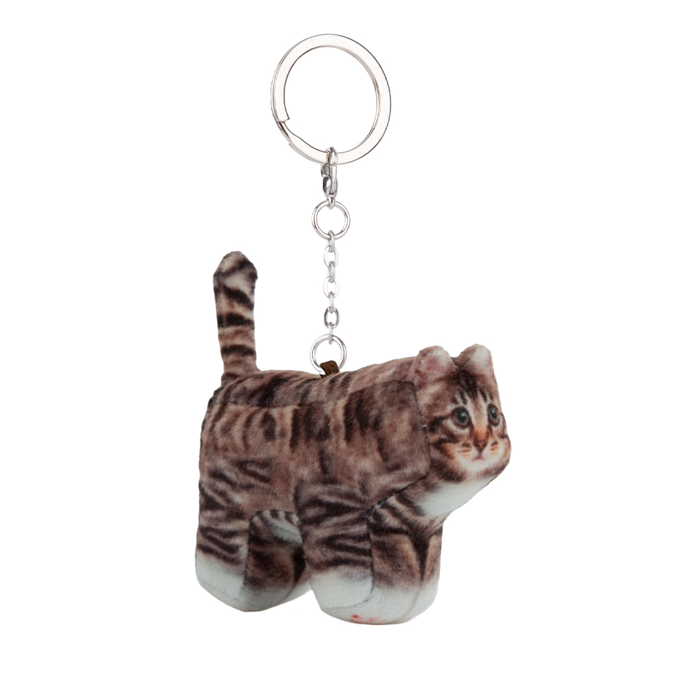 Chovy, Domestic Shorthair - soft thumbnail