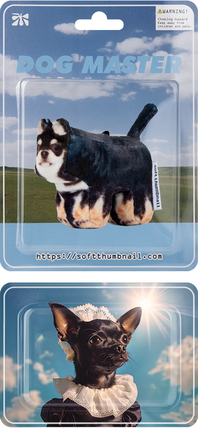 韓國可愛い[SOFTTHUMBNAIL]Mang, American Shorthair Mang, American Shorthair - soft thumbnail