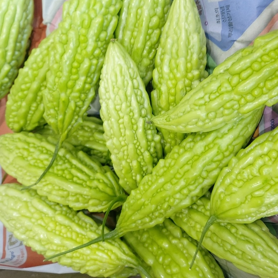 혈당완화 싱싱한 국내산 햇 생여주 1kg