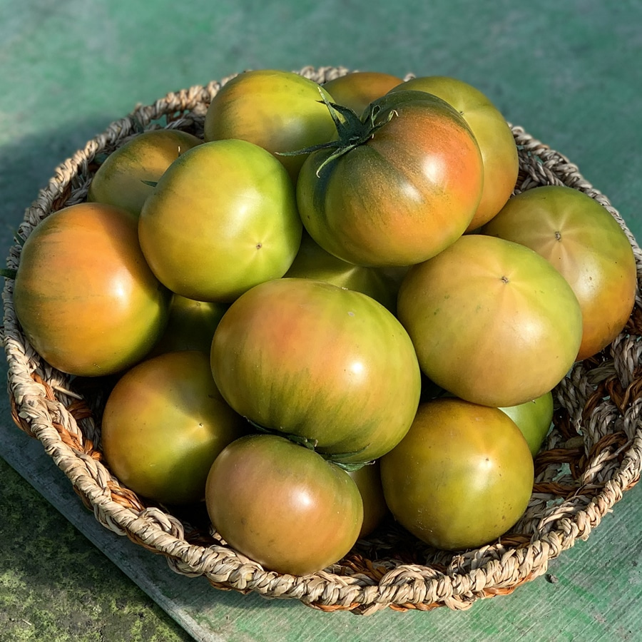 짭짤이 대저 토마토 2.5kg