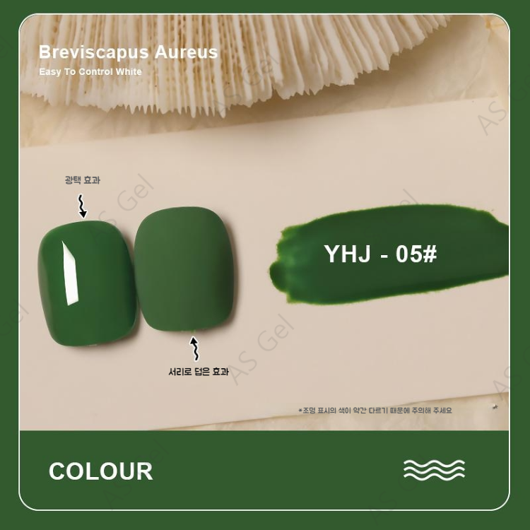 画像 4
