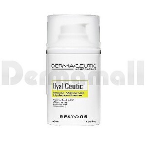 [DERMACEUTIC]하이알쏘틱 250ML