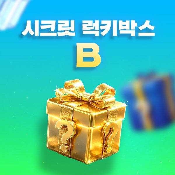 시크릿 럭키박스 B조 상품 이미지
