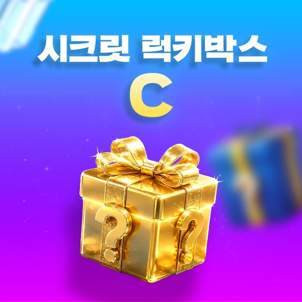 시크릿 럭키박스 C조 상품 이미지