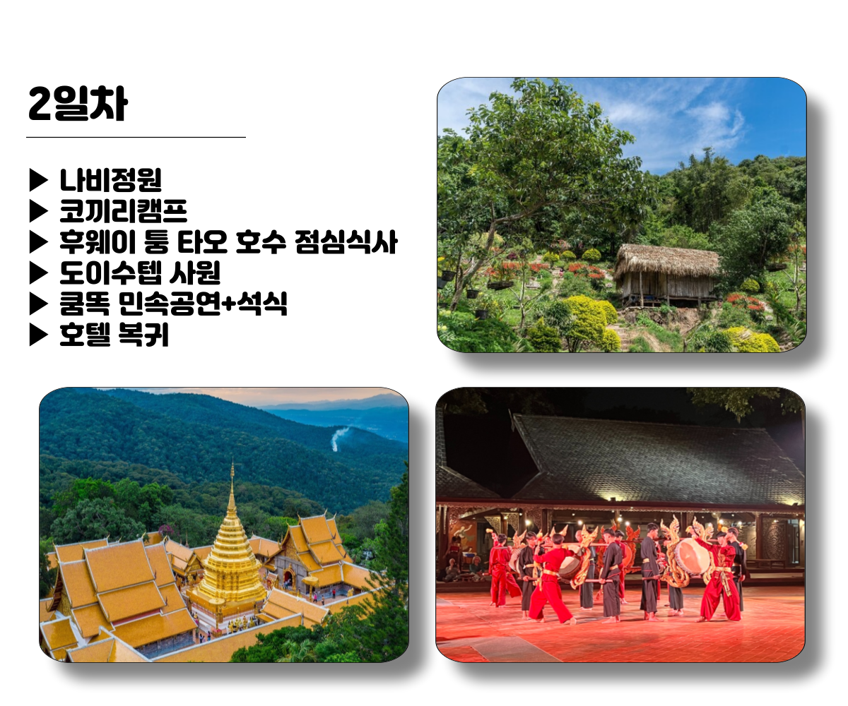 copy-1718350963-006.png