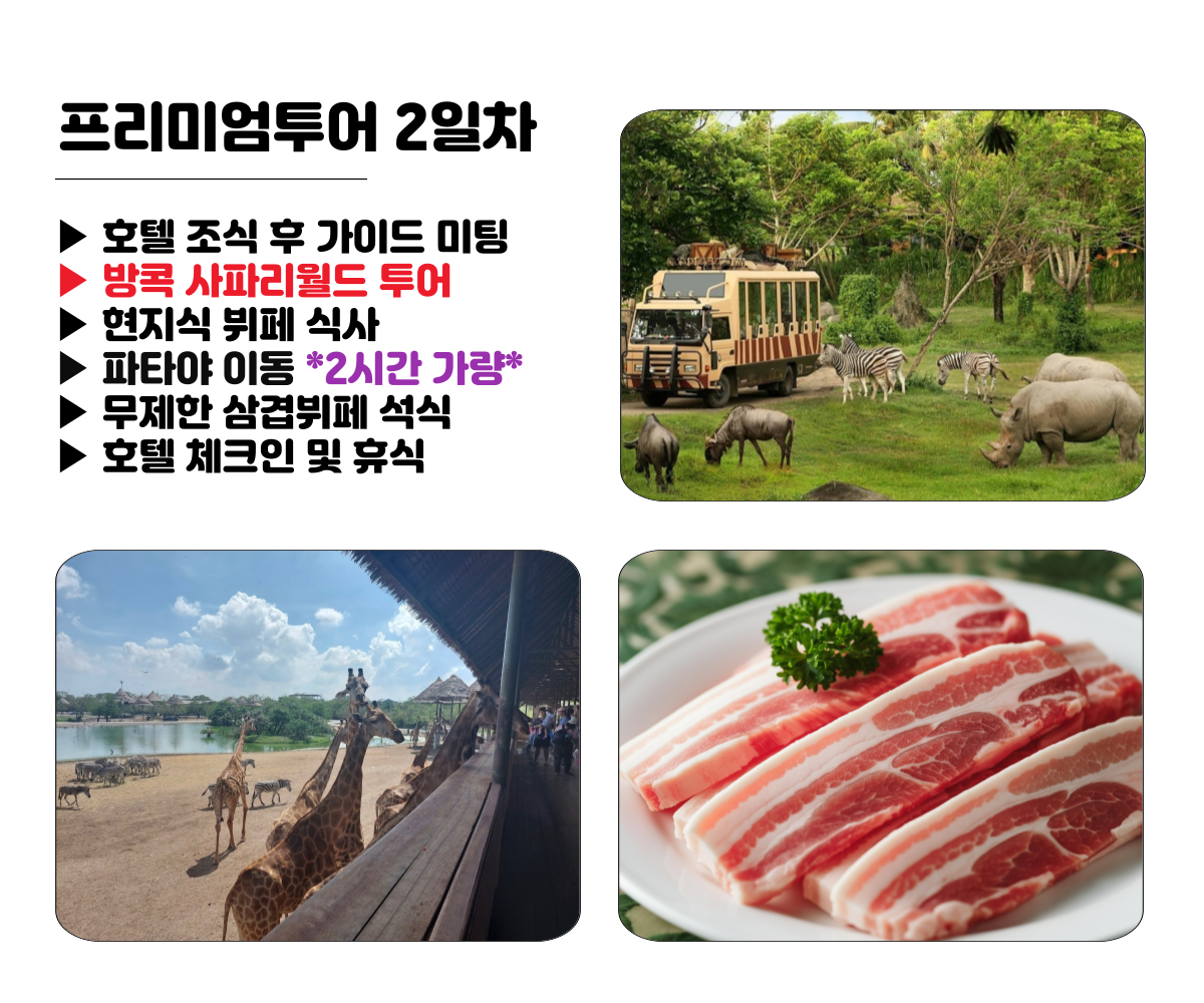 copy-1743512404-005.png