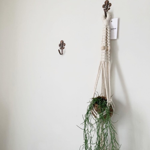 Macrame Plant Hanger  編織植物收納吊飾
