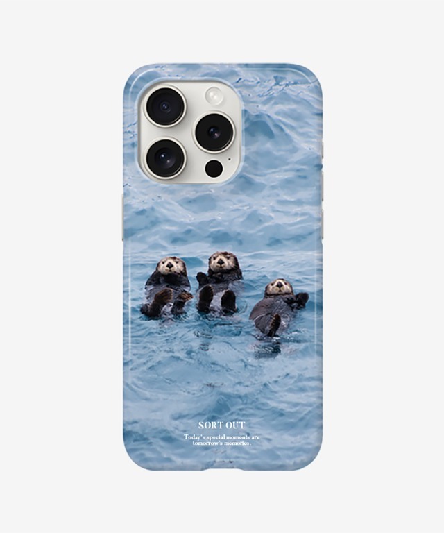 trio sea otter small hard case