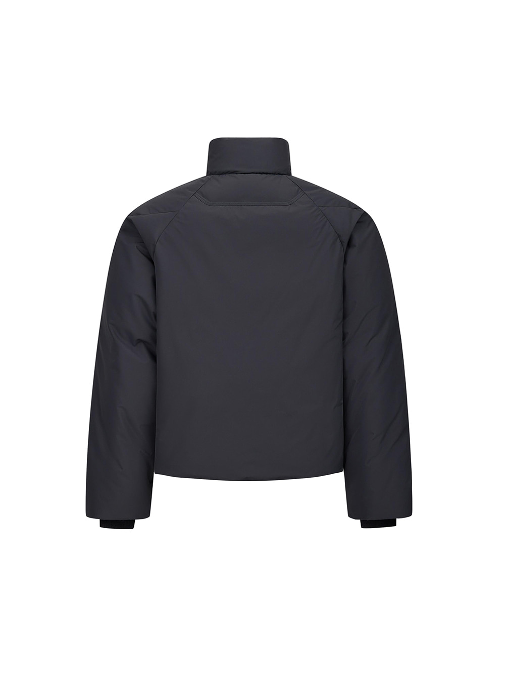 TAICHIISM] Dual-Tone Down Jacket (2color) - BCAESAR