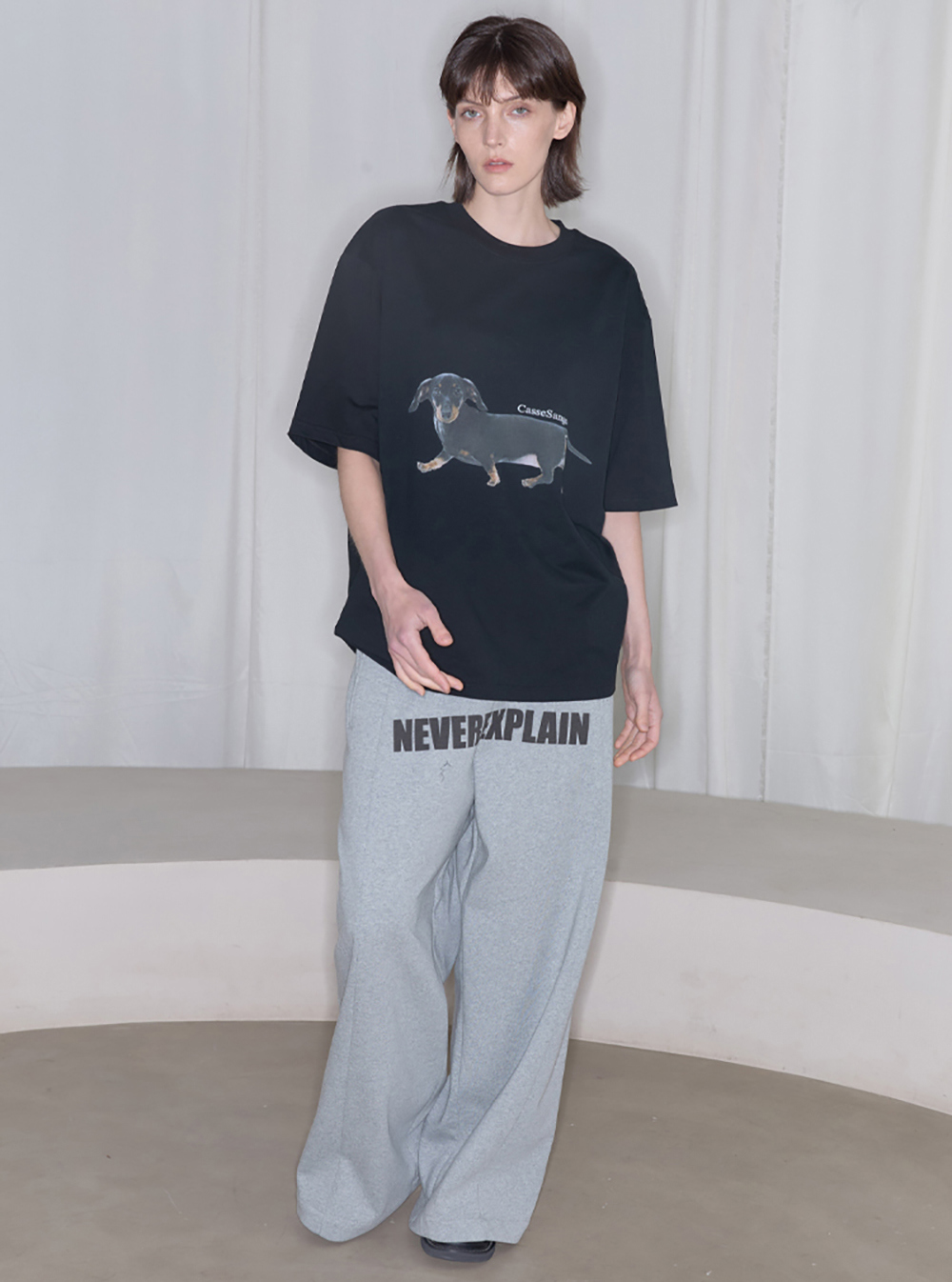 ANTERIOR LOVED×CasseSango] Dachshund Short-Sleeved T-Shirt - BCAESAR