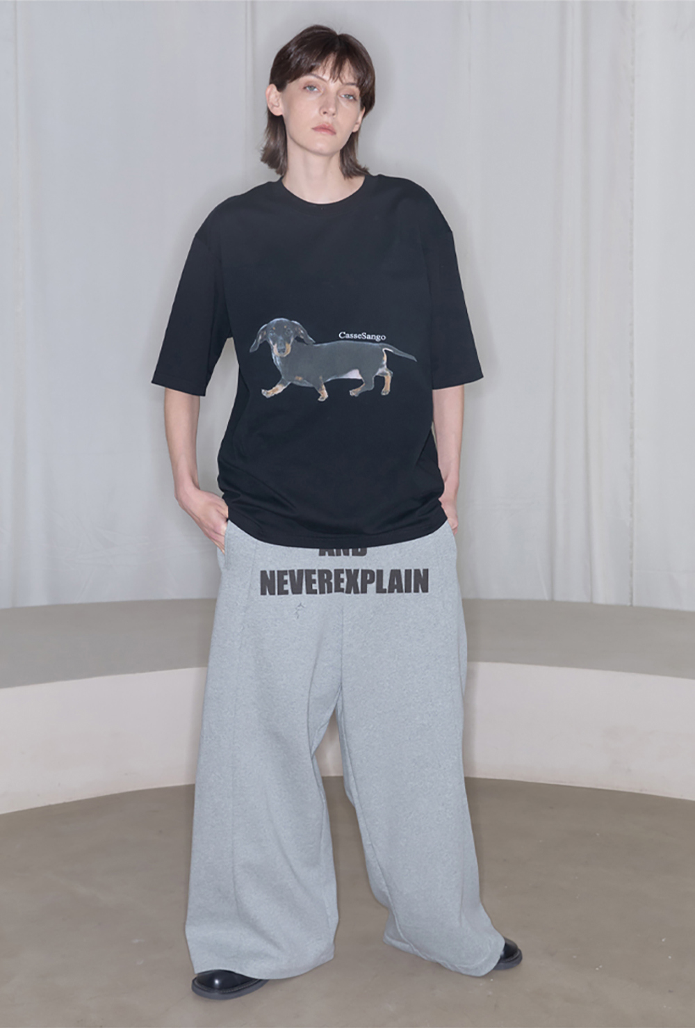 ANTERIOR LOVED×CasseSango] Dachshund Short-Sleeved T-Shirt - BCAESAR