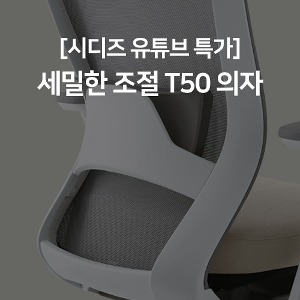 [유튜브특가] 시디즈 T50 의자(HLDA)