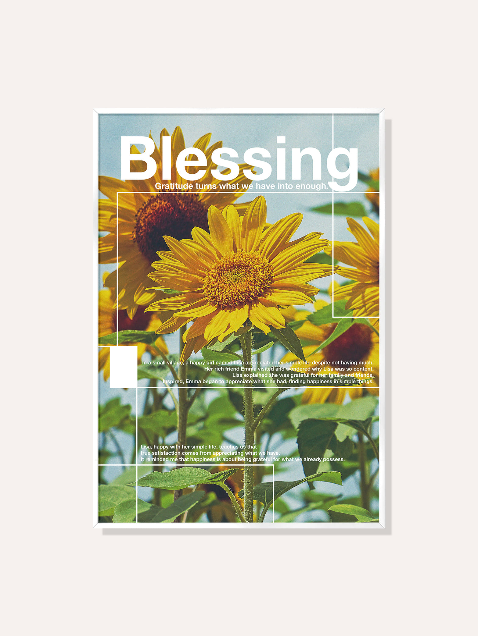 블레싱 해바라기