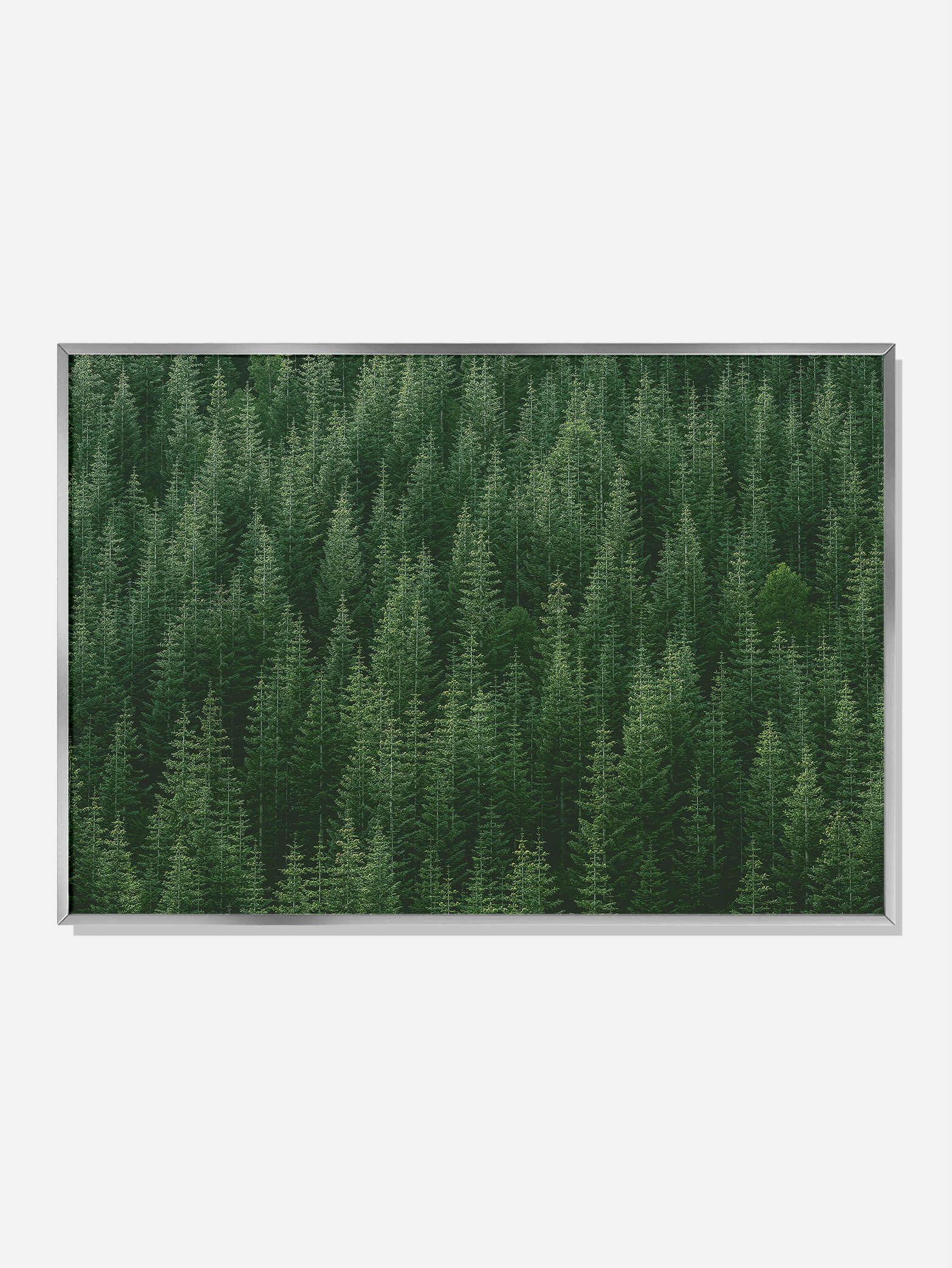 침엽수림 No.1 가로형