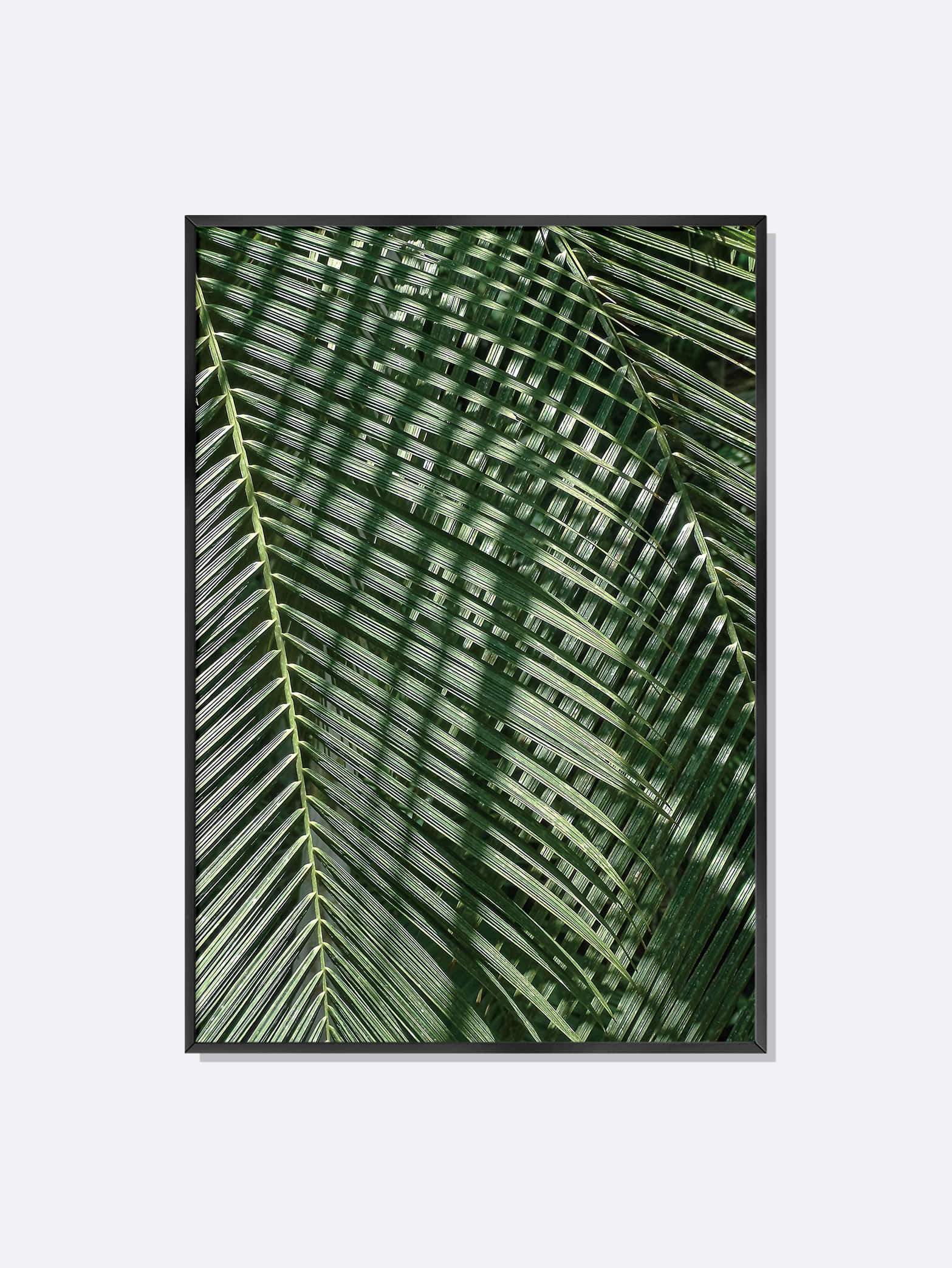 야자수 잎 Leaf net