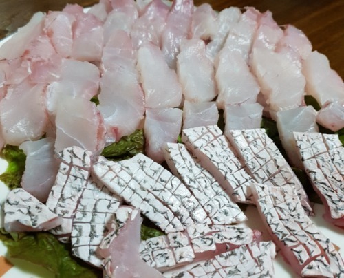 민어 자연산 민어회 민어한마리(3.5~10kg) 민어부레 뱃살 껍질 - 완도에프앤에프