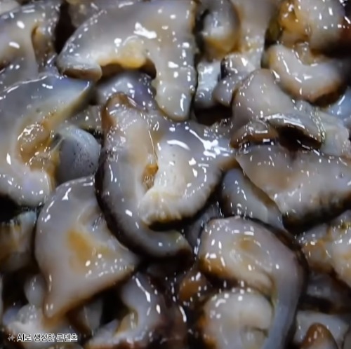 해녀가 직접 채취한 해삼 제철 자연산 해삼회 1kg 고노와다
