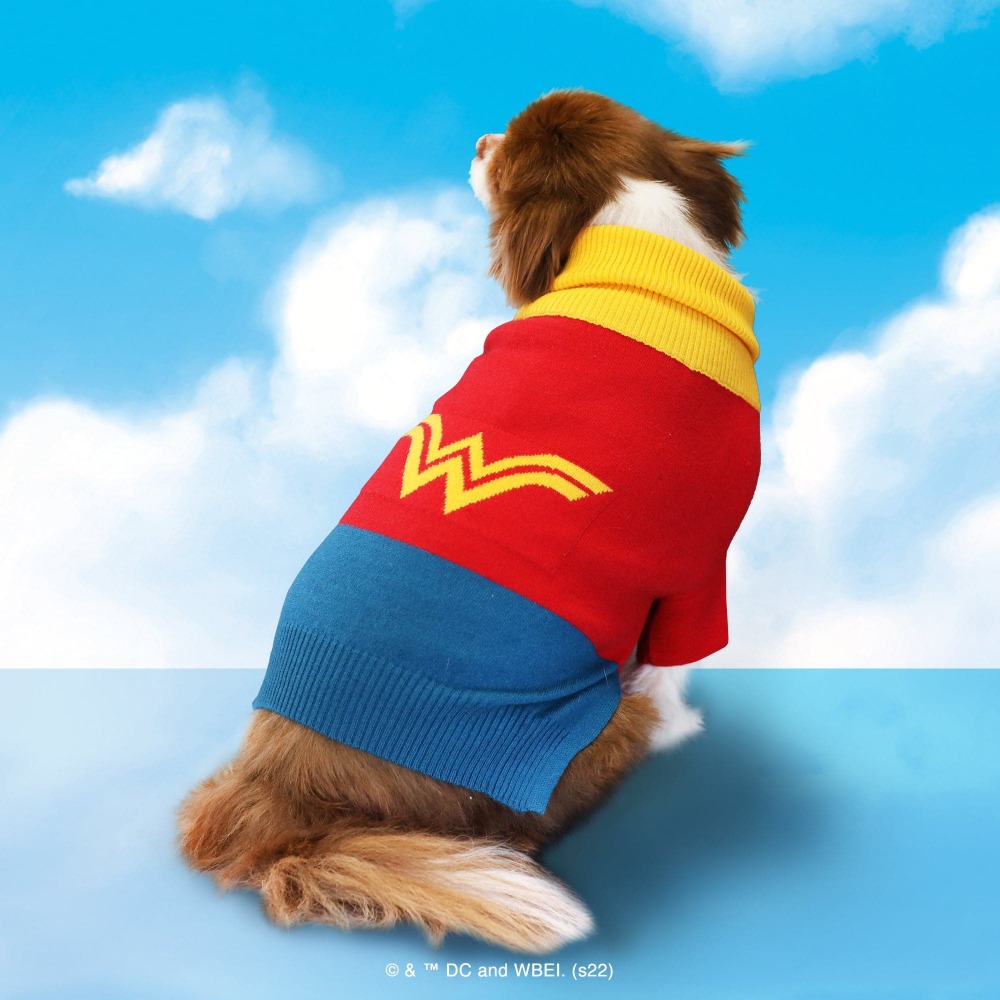 Super-Pets Dog Sweater