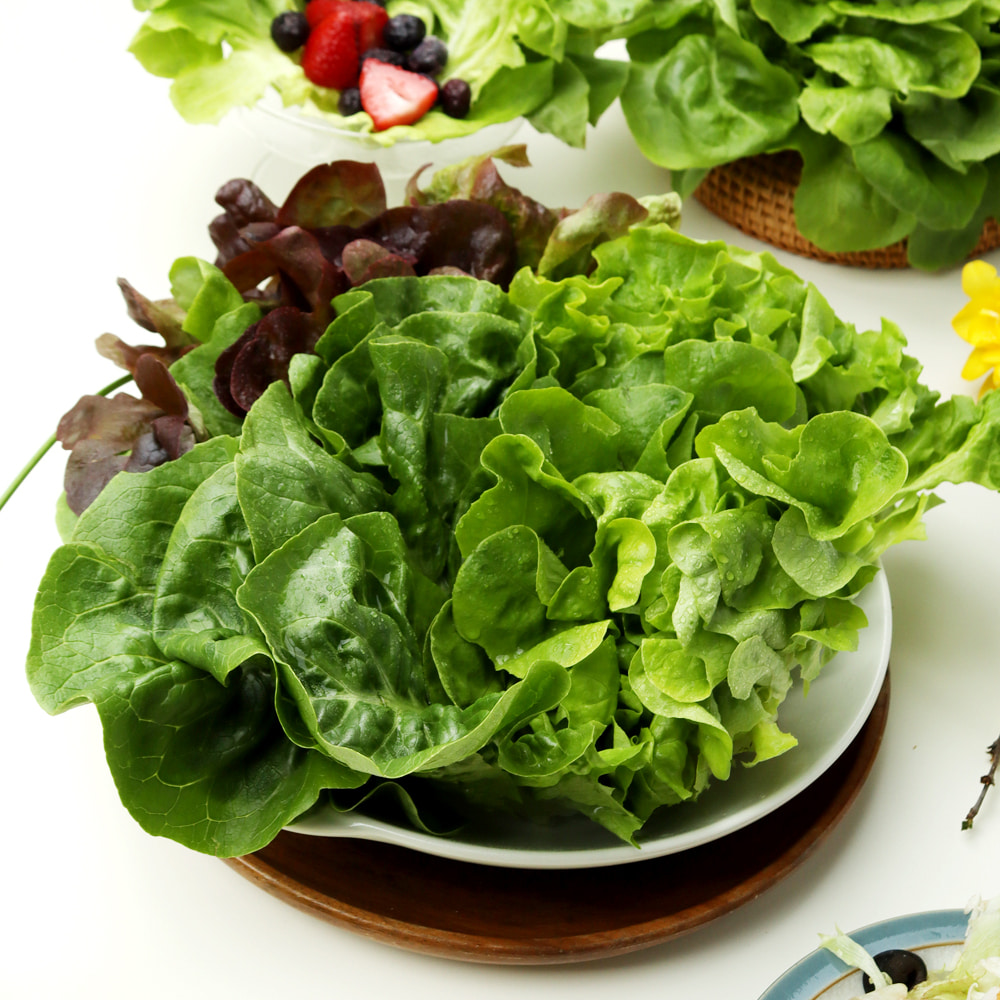 유럽 샐러드용 쌈채소 1kg