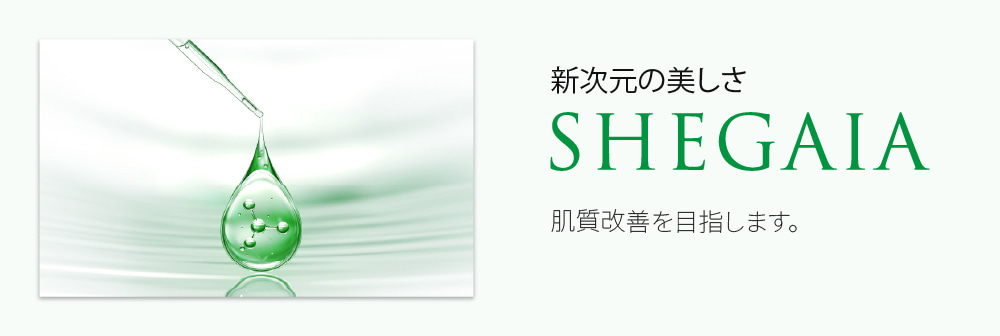 SHEGAIA クリーム　2点セット シガイア Anna's DAZZ