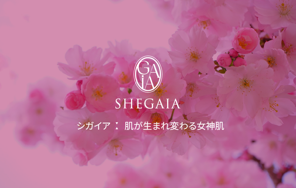 SHEGAIA] 4th Collabo MaskPack 3個選択 Set - Anna's DAZZ