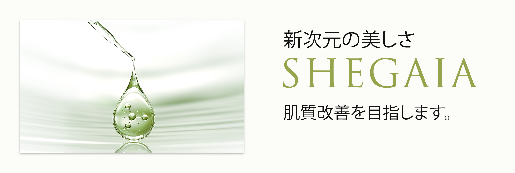 SHEGAIA] Phytozyme Renew Powder Wash | Anna's DAZZ