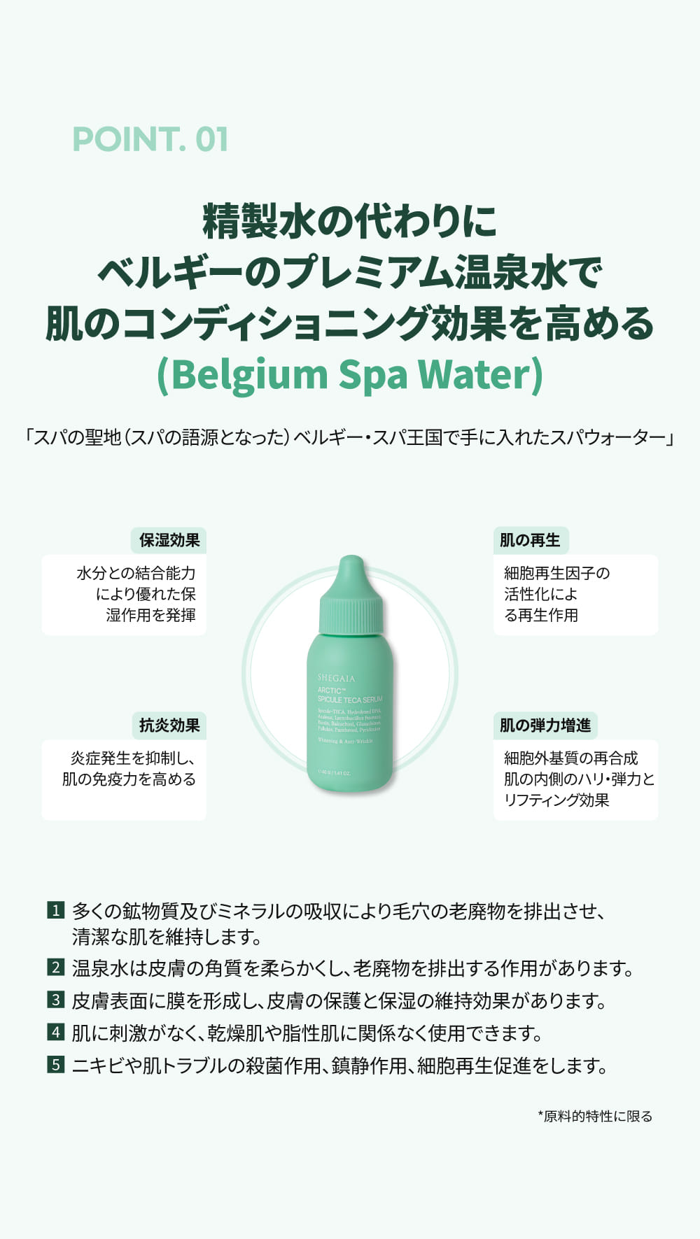 SHEGAIA] Arctic Spicule Teca Serum 40ml | Anna's DAZZ