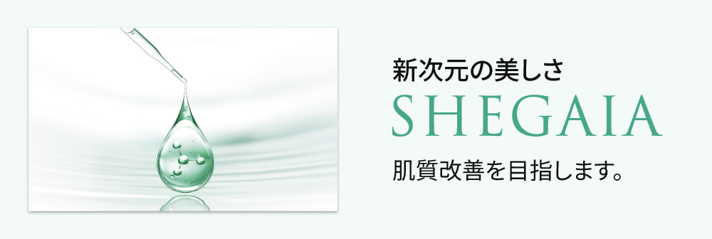 SHEGAIA] Arctic Spicule Teca Serum 40ml - Anna's DAZZ