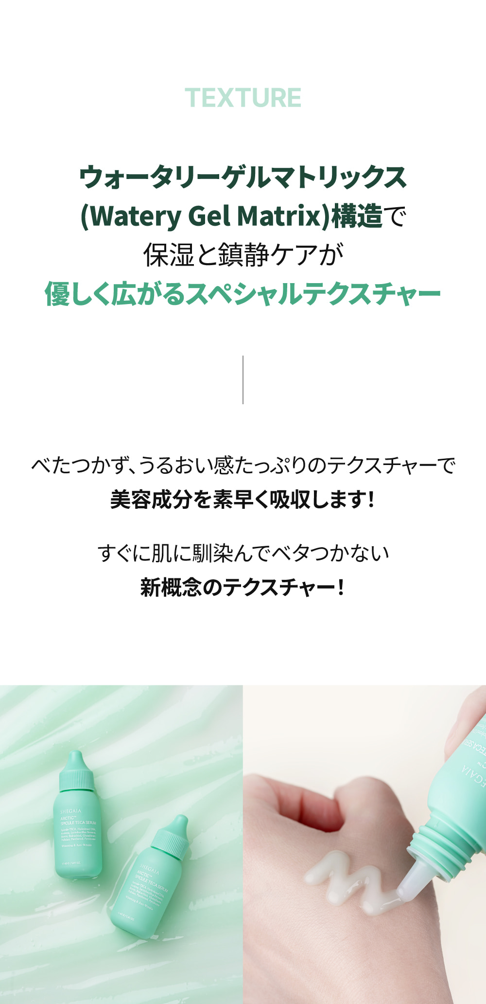 SHEGAIA] Arctic Spicule Teca Serum 40ml | Anna's DAZZ