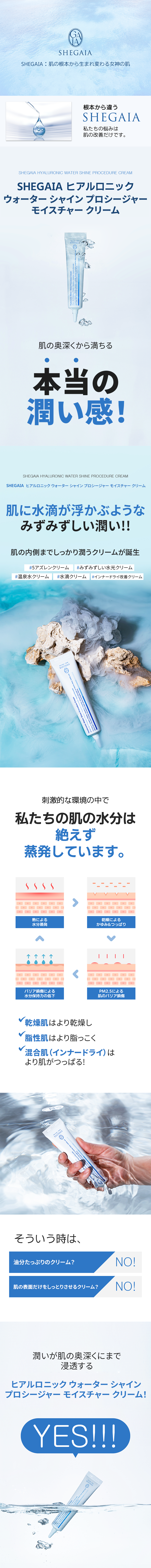 SHEGAIA] Hyaluronic Water Shine Procedure Cream - Anna's DAZZ