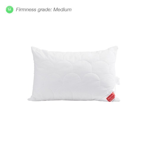 Editon 101 Pillow
