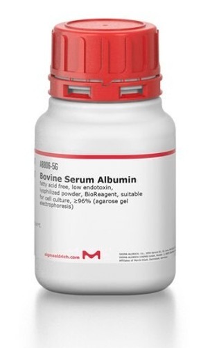 Bovine Serum Albumin