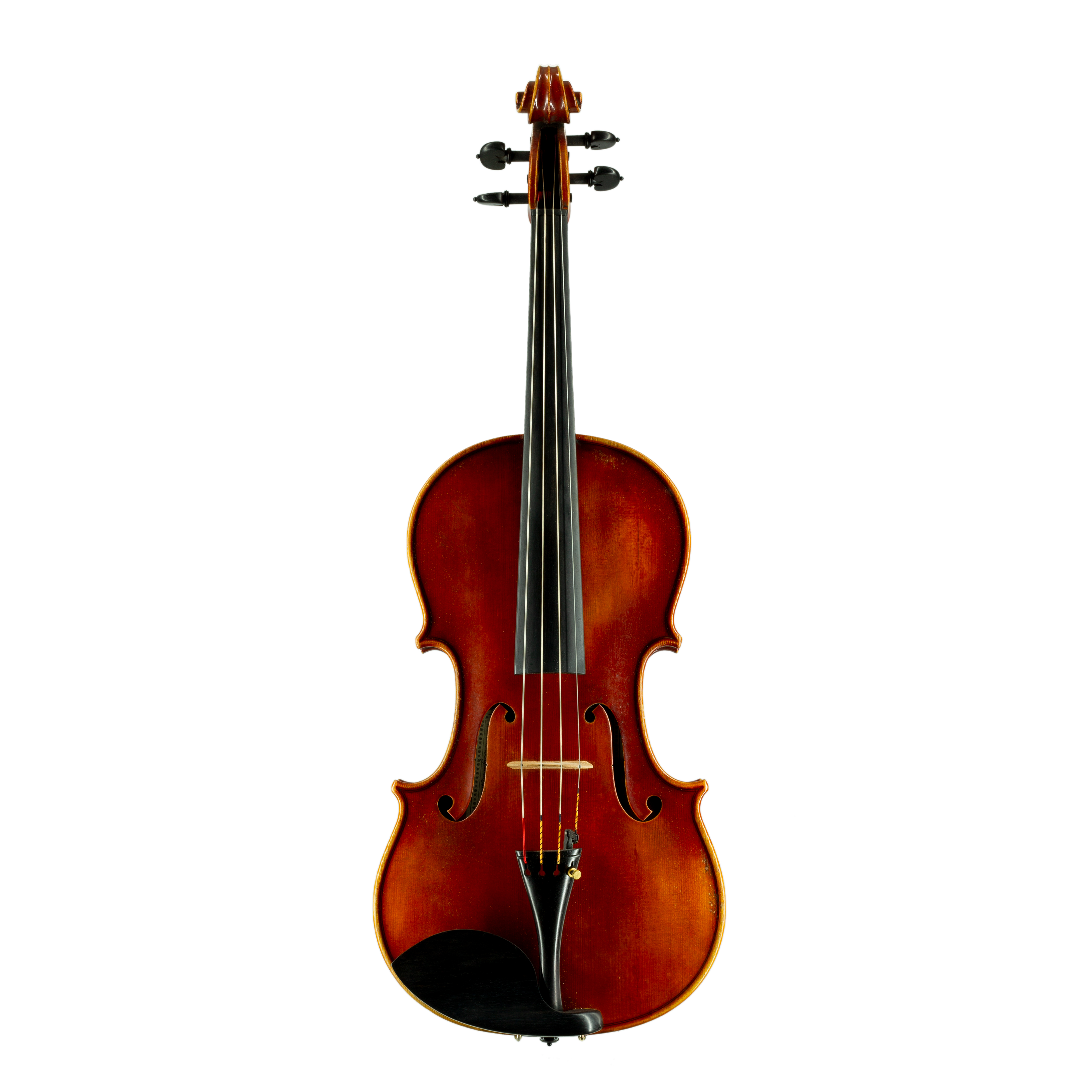 [렌트] A Viola by Otello Bignami 1980