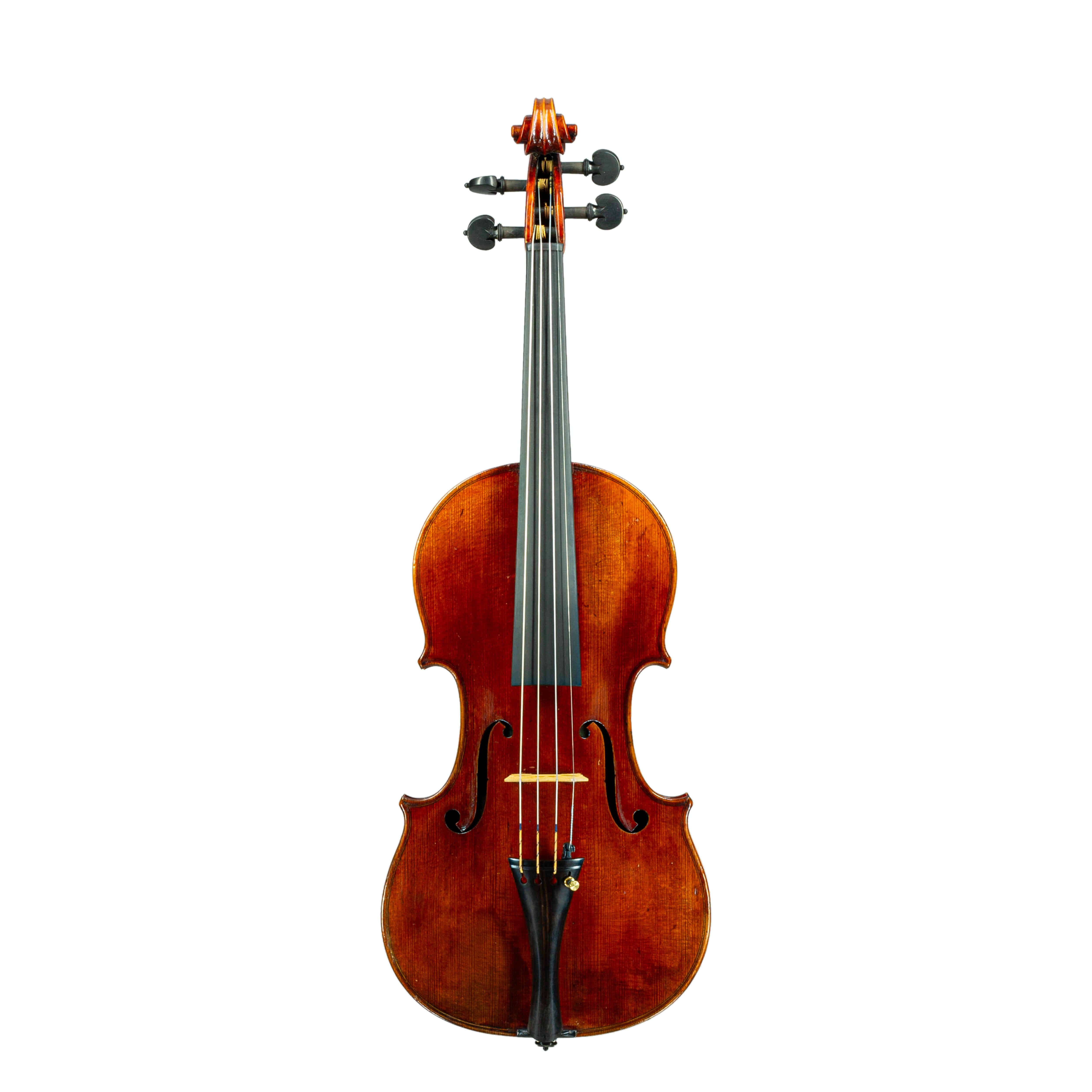 [렌트] A Violin by Paul Kaul 1908