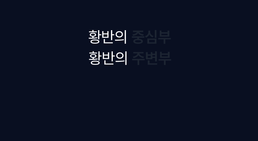 황반의 중심부, 황반의 주변부 더블케어로!