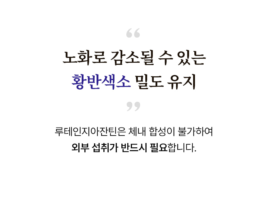 노화로 감소될 수 있는 황반색소 밀도 유지. 루테인지아잔틴은 체내 합성이 불가하여 외부 섭취가 반드시 필요합니다.