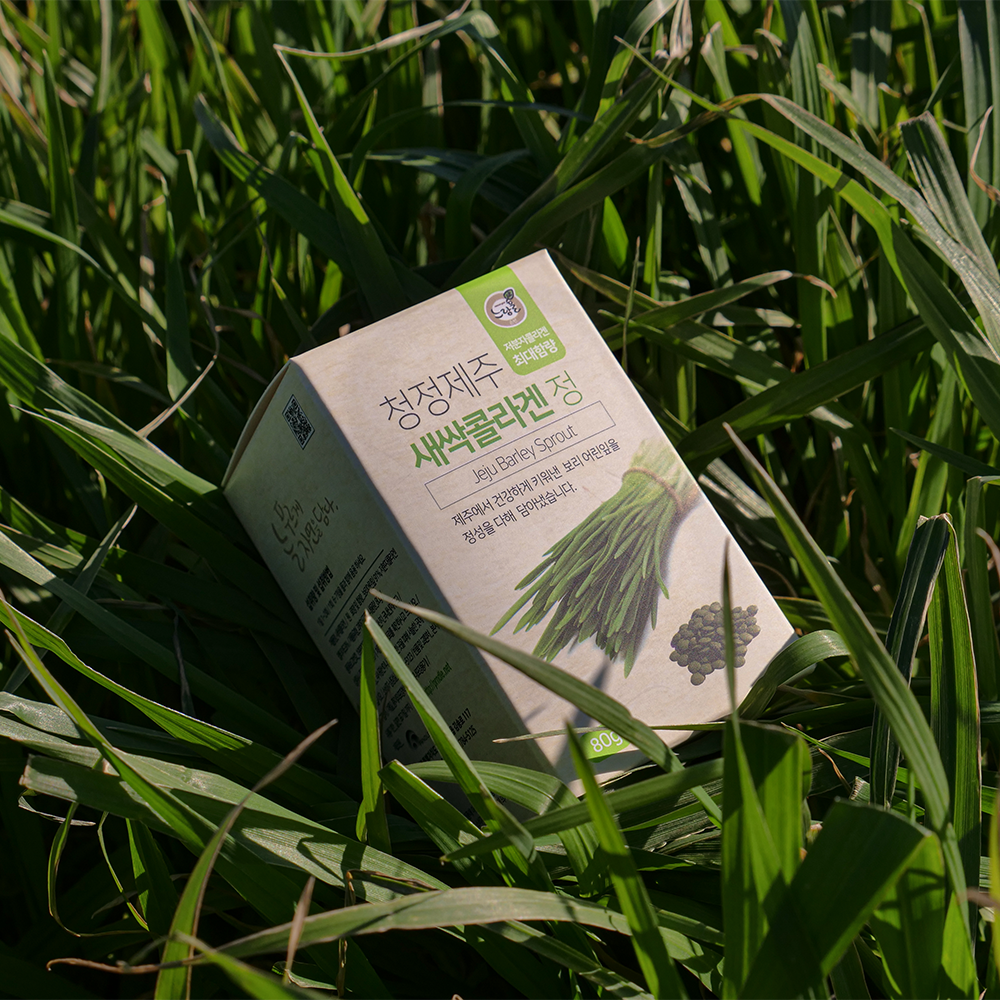새싹 콜라겐 정 80g - 웰루트