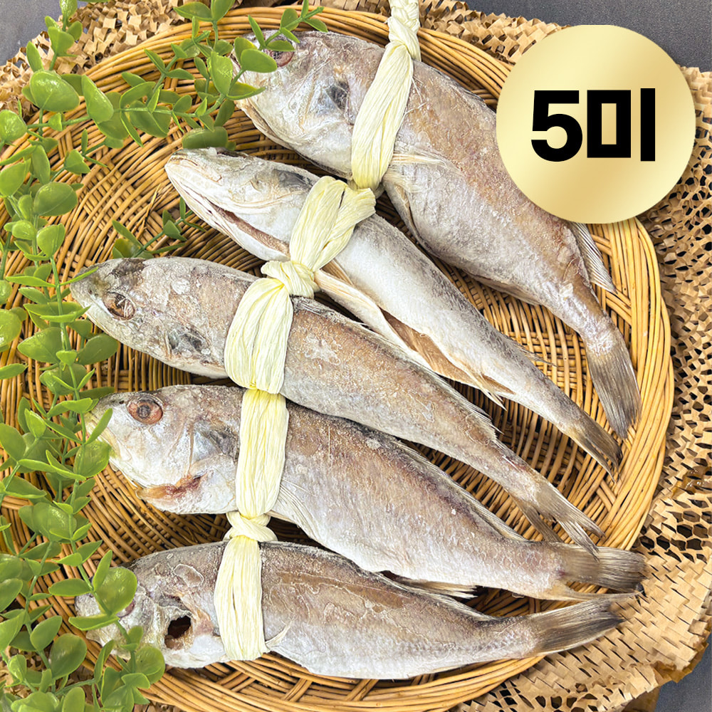 국내산 통영 고소한 백굴비 세트 반건조 대 5미 26cm