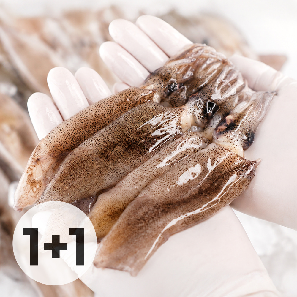통으로 쪄먹는 바다별미! 총알한치 1+1 (500g+500g, 30미 내외)