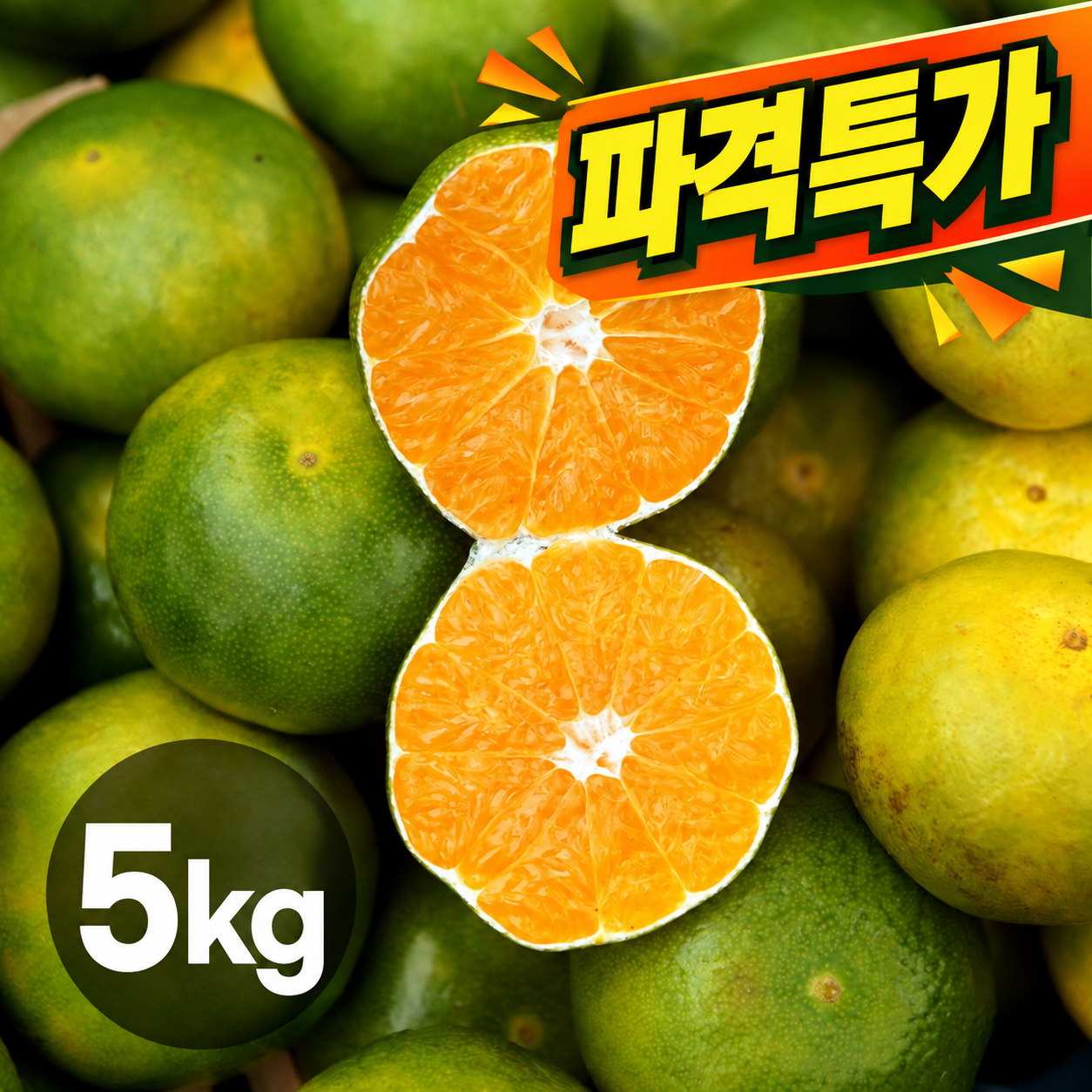 [제주산] 기다리던 가을 첫 귤! 극조생귤 5kg (2S~L 랜덤)