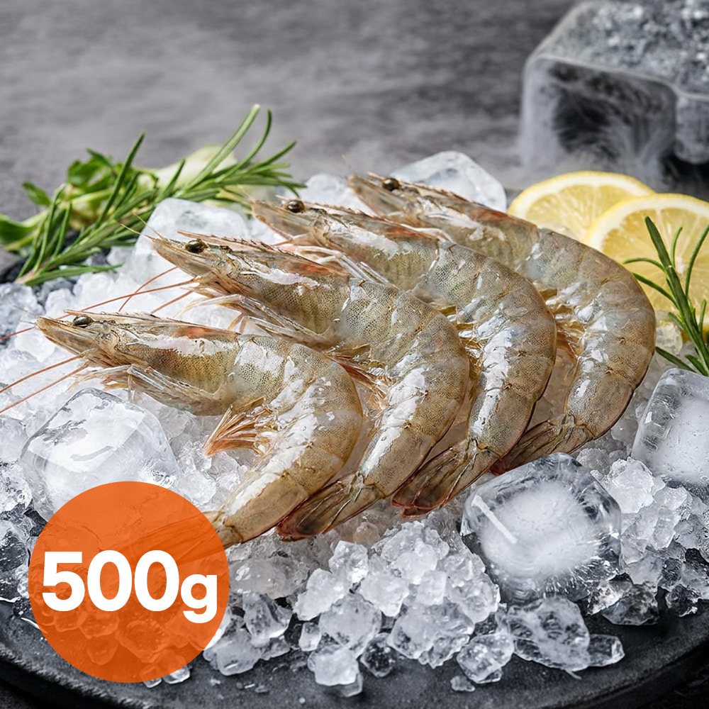 🦐지금이 제철! 고흥 활 흰다리새우 500g (18~20미)