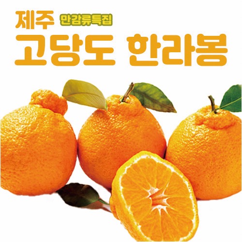 달콤한 만감류 특집 제주 귤 한라봉 3kg(9-13과)_무료배송_SIB