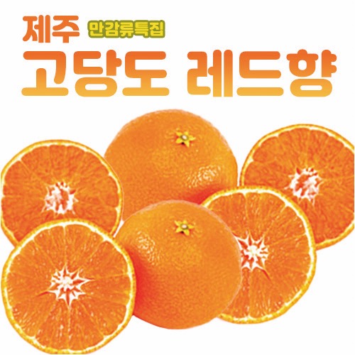 달콤한 만감류 특집 제주 귤 레드향 3kg (9-13과)_무료배송_SIB