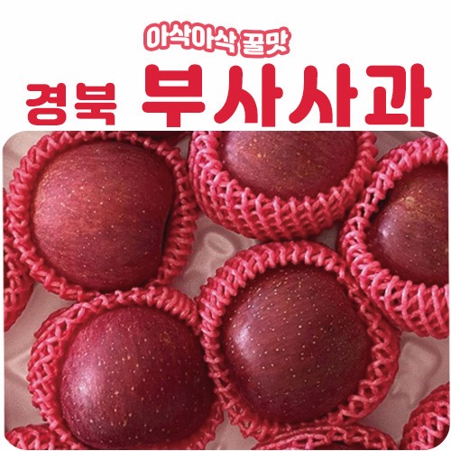 ★인기좋은 경북 안동 부사사과 2kg / 3kg / 5kg [무료배송]_KM