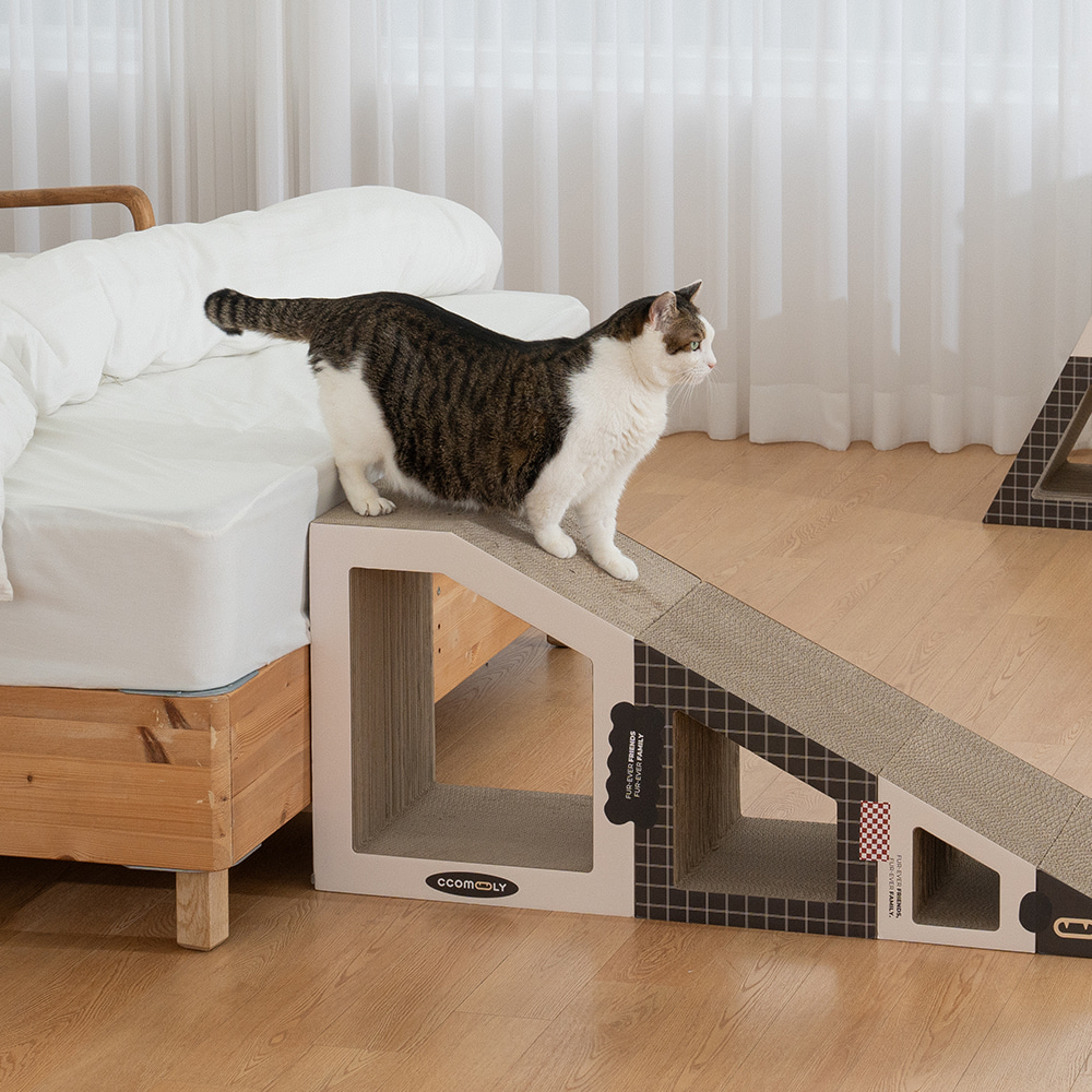 꼬물리 요리조리스크래쳐