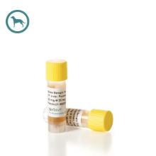 [BioIVT(Xenotech)]Pooled Beagle Dog Liver Microsomes - 한독바이오테크(주)